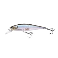 Ghost Minnow