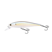 Chartreuse Shad