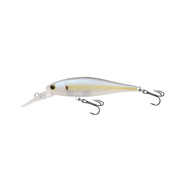 Chartreuse Shad