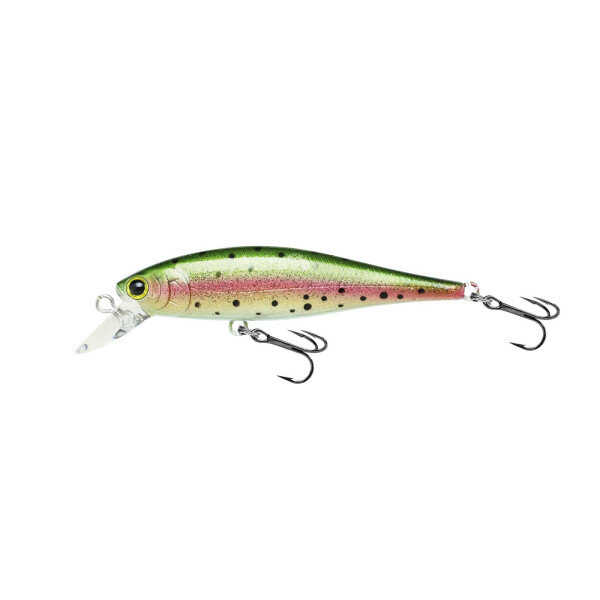 Laser Rainbow Trout