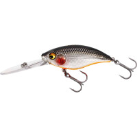 Steel Sardine