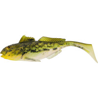 Headlight Goby