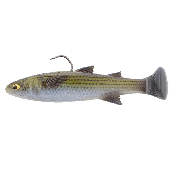 Mossback