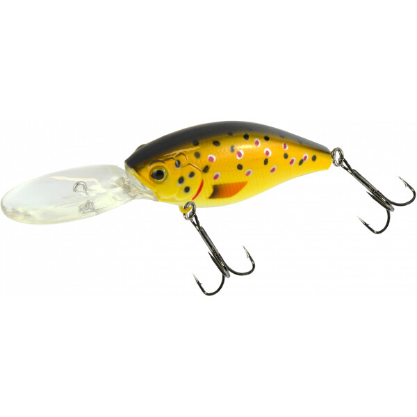 Trout