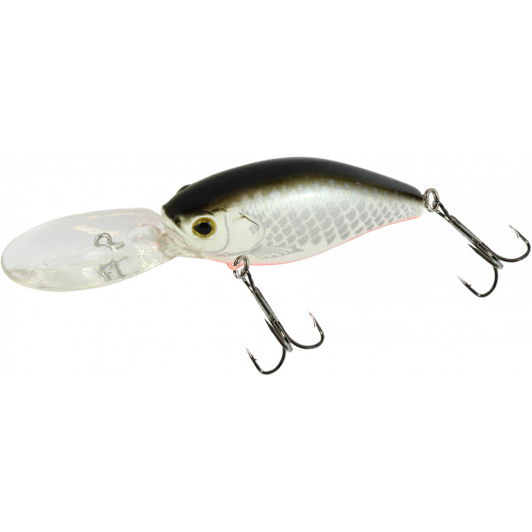 White Fish