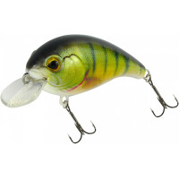 Perch