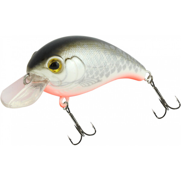 White Fish