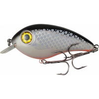 White Fish