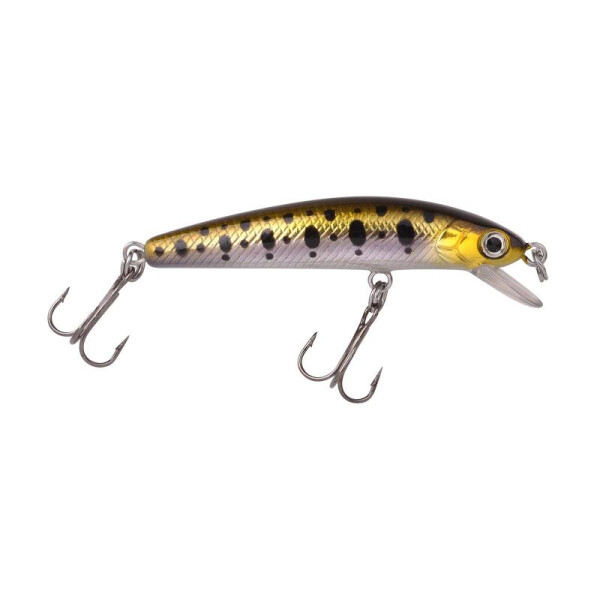 Gold Trout