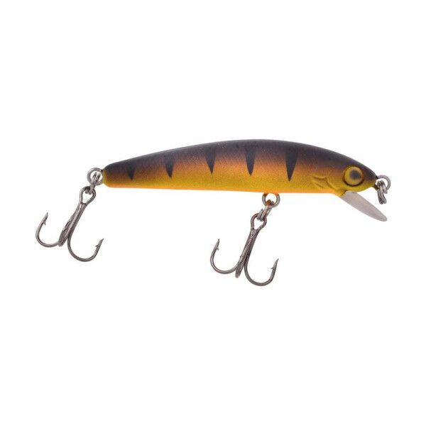 Yellow Perch
