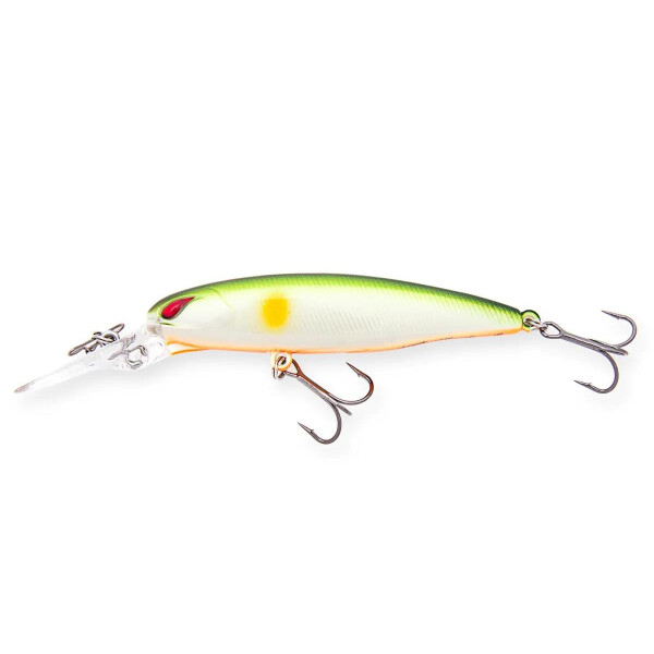 Lime Ayu / Orange Belly