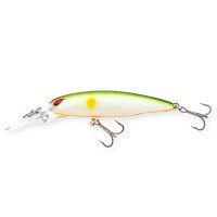 Lime Ayu / Orange Belly